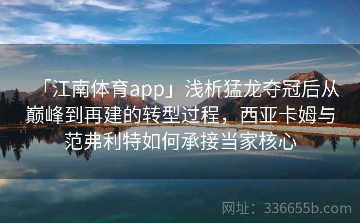 「江南体育app」浅析猛龙夺冠后从巅峰到再建的转型过程，西亚卡姆与范弗利特如何承接当家核心
