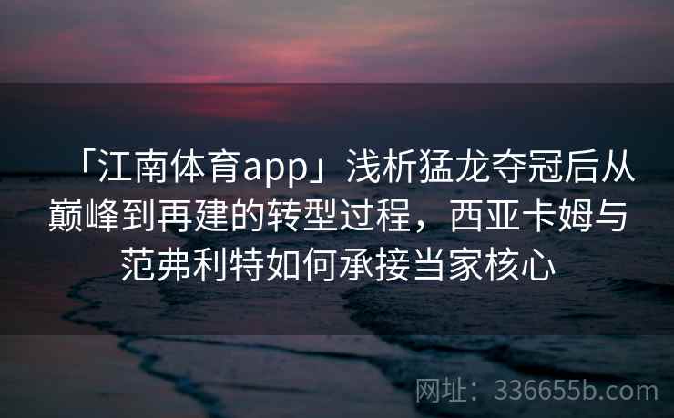「江南体育app」浅析猛龙夺冠后从巅峰到再建的转型过程，西亚卡姆与范弗利特如何承接当家核心