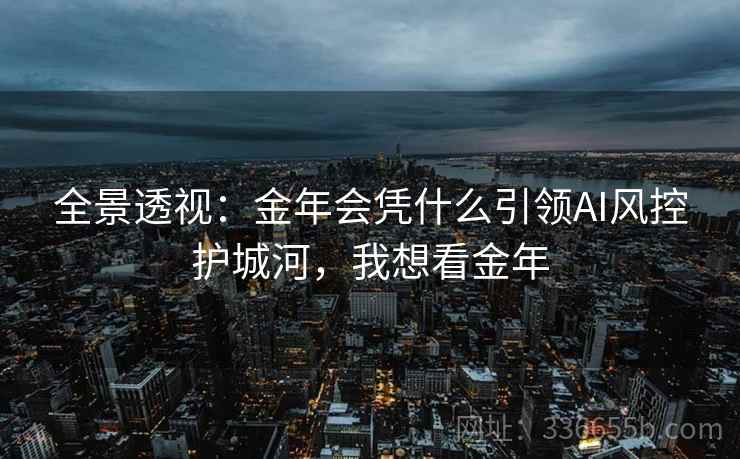 全景透视：金年会凭什么引领AI风控护城河，我想看金年